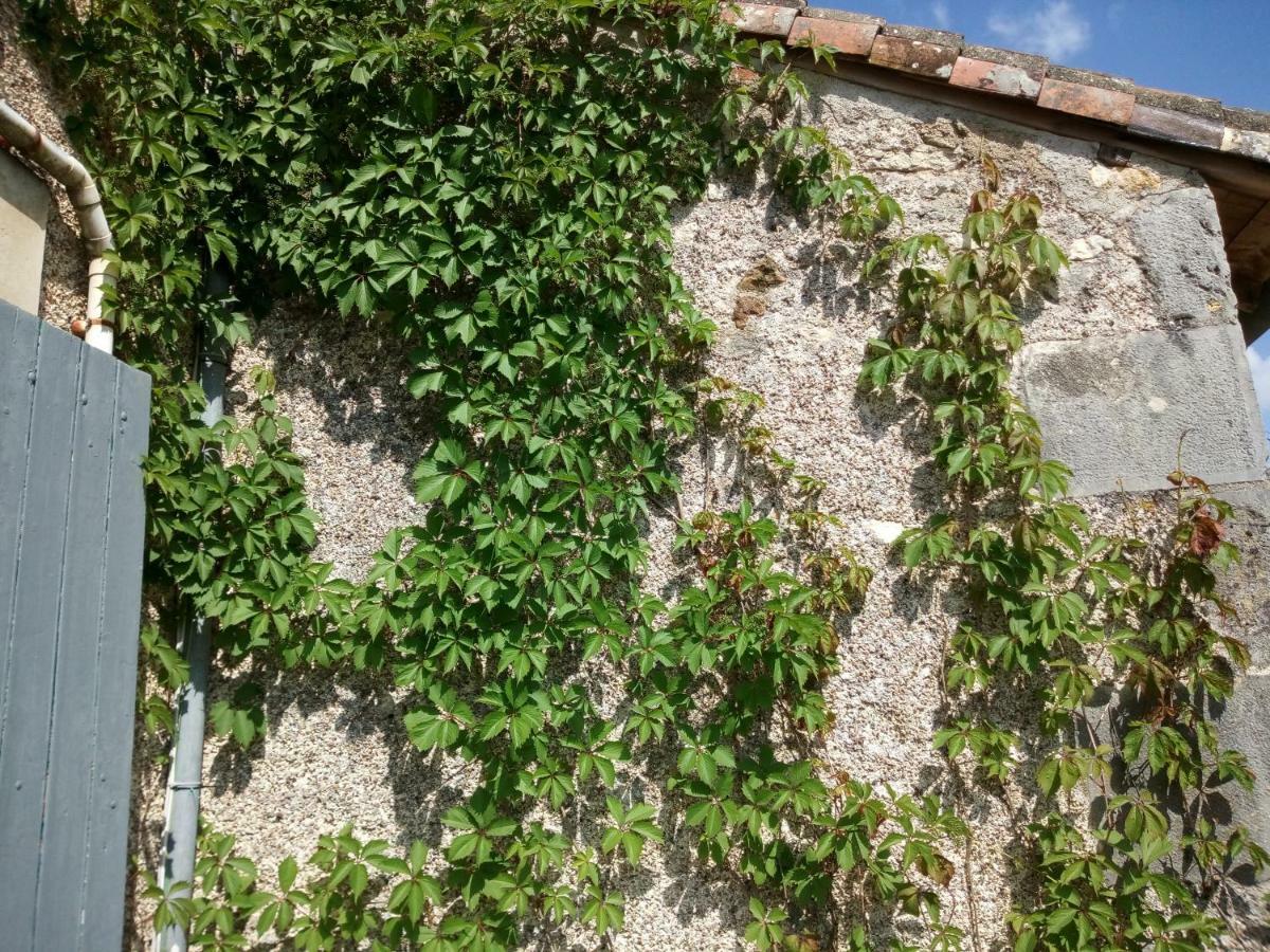 Le Petit Cochon Chambre D' Hotes Haims Dış mekan fotoğraf